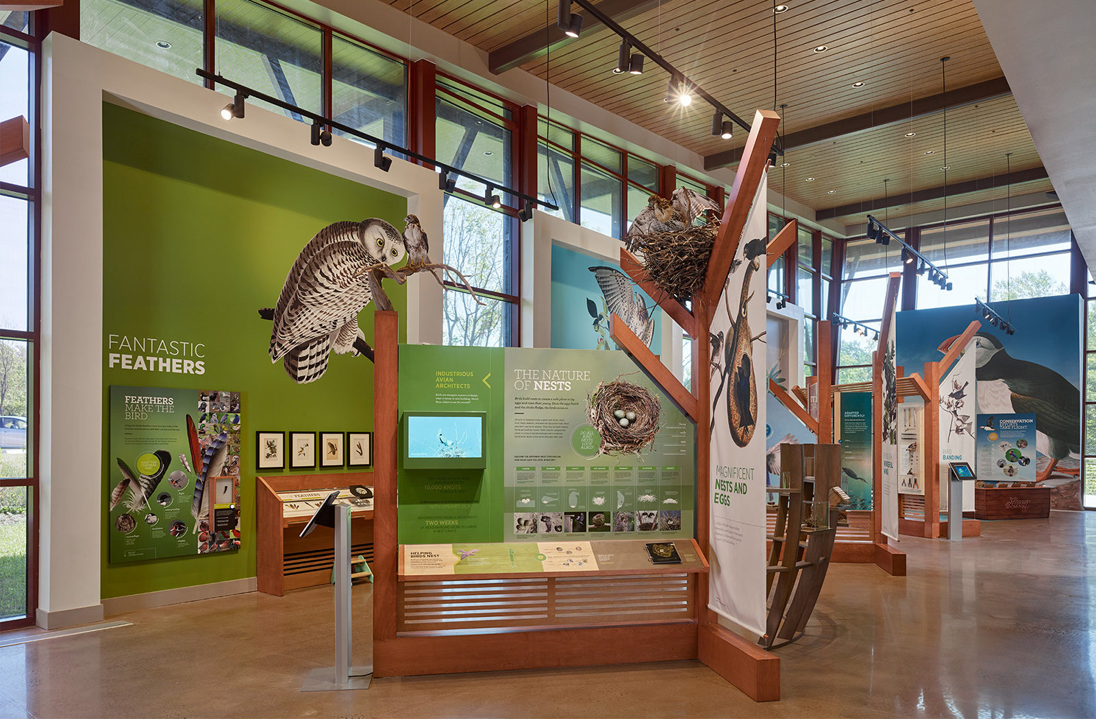 Audubon Museum - Kimmel Bogertte